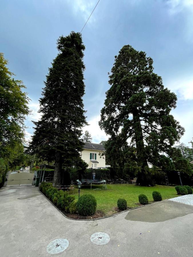 Residence Mont-Blanc Genf Exterior foto